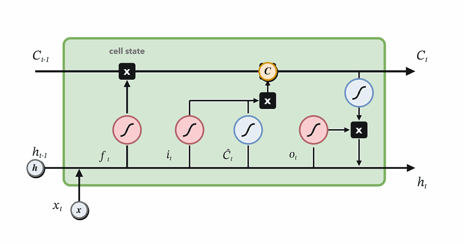 Cell state update animation