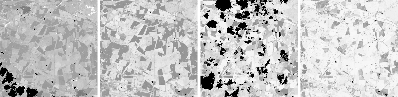 NDVI time series from Sentinel-2 images
