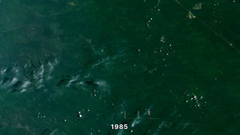 Landsat observation of the Chaco Region in Paraguay in 1985
