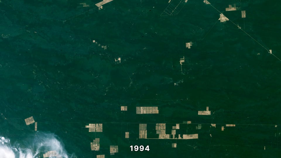 Landsat observation of the Chaco Region in Paraguay in 1994