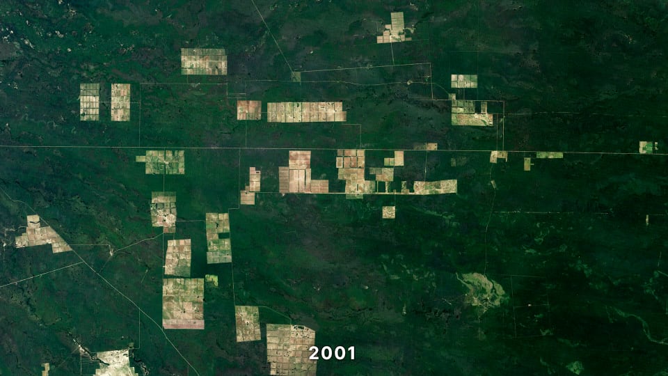 Landsat observation of the Chaco Region in Paraguay in 2001