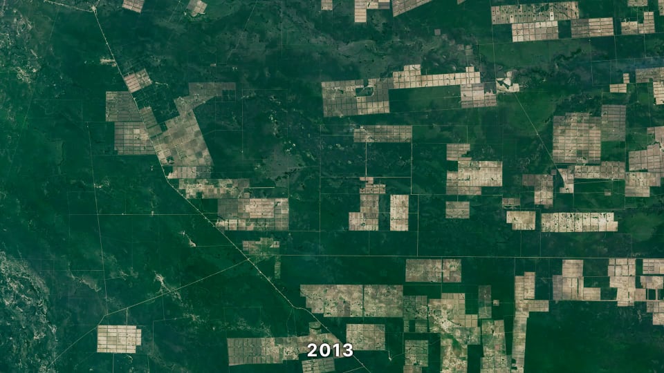 Landsat observation of the Chaco Region in Paraguay in 2013