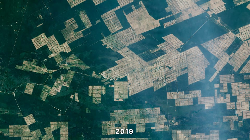 Landsat observation of the Chaco Region in Paraguay in 2019