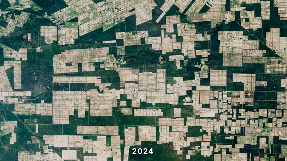 Landsat observation of the Chaco Region in Paraguay in 2024